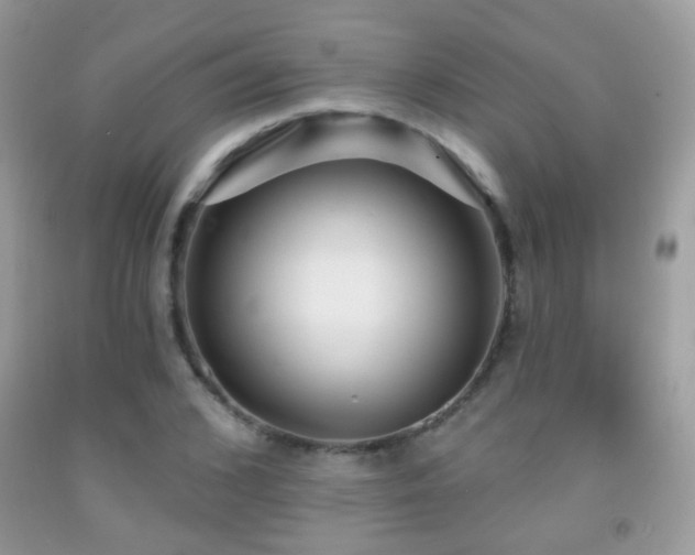 X0000091970976200709061328