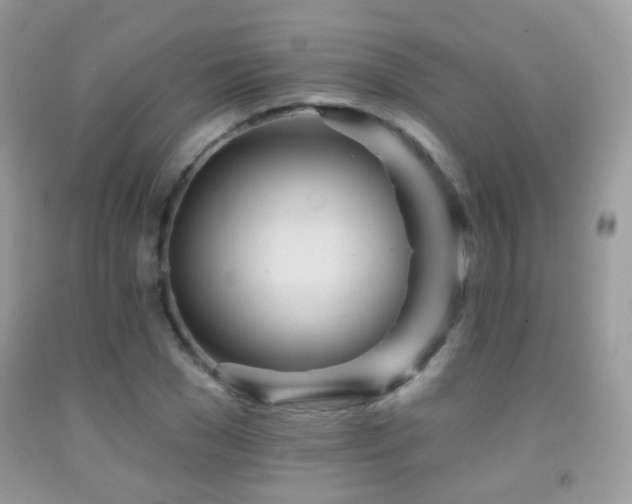 X0000091970977200709061328