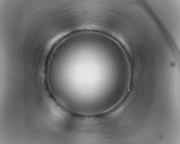 X0000091970979200709061328