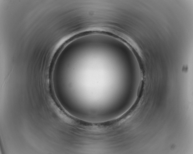 X0000091970980200709061328