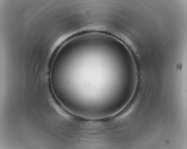 X0000091970981200709061328