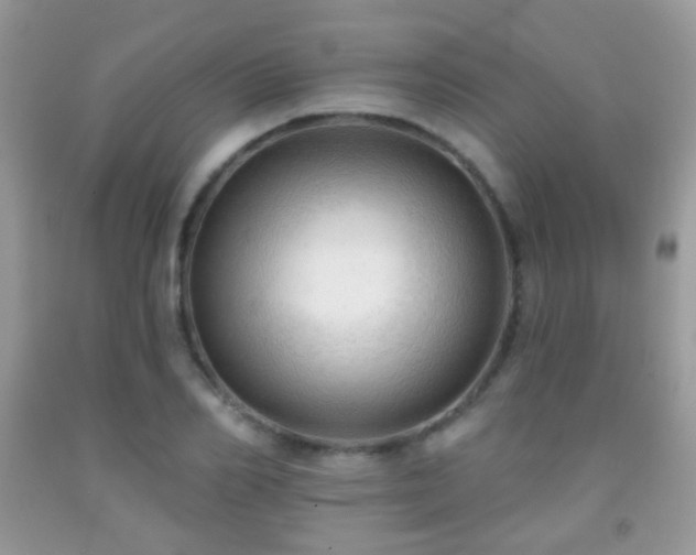 X0000091970982200709061328