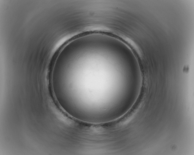X0000091970983200709061328