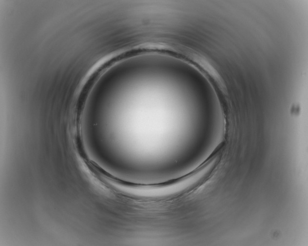X0000091970984200709061328