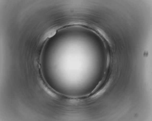 X0000091970985200709061328