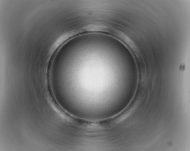 X0000091970986200709061328