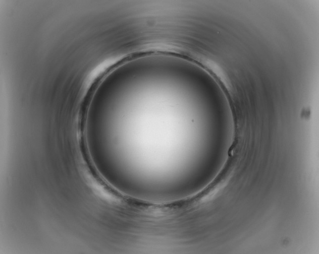X0000091970987200709061328