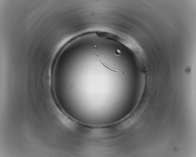 X0000091970988200709061328