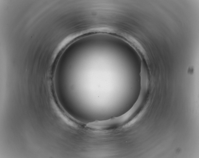 X0000091970989200709061328