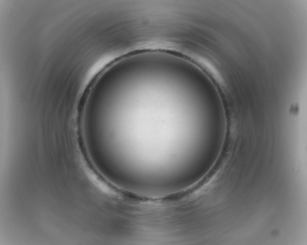 X0000091970990200709061328