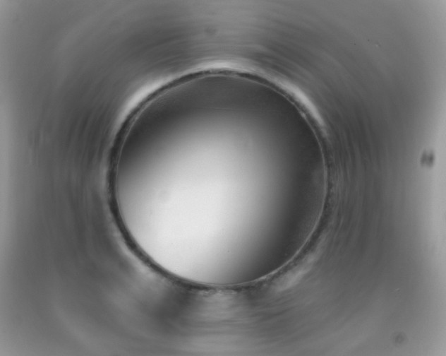 X0000091970991200709061328