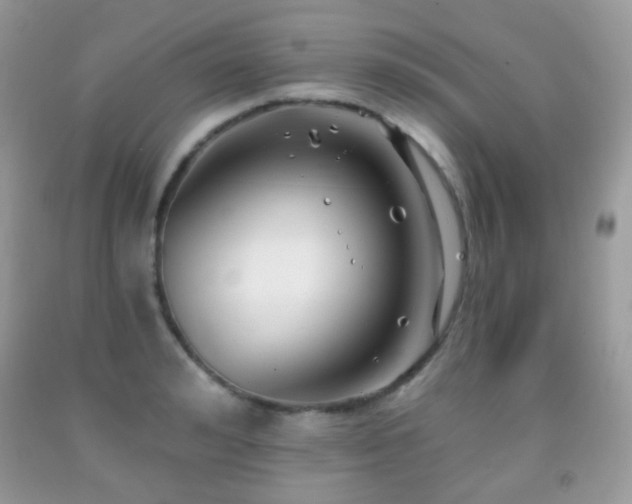 X0000091970992200709061328