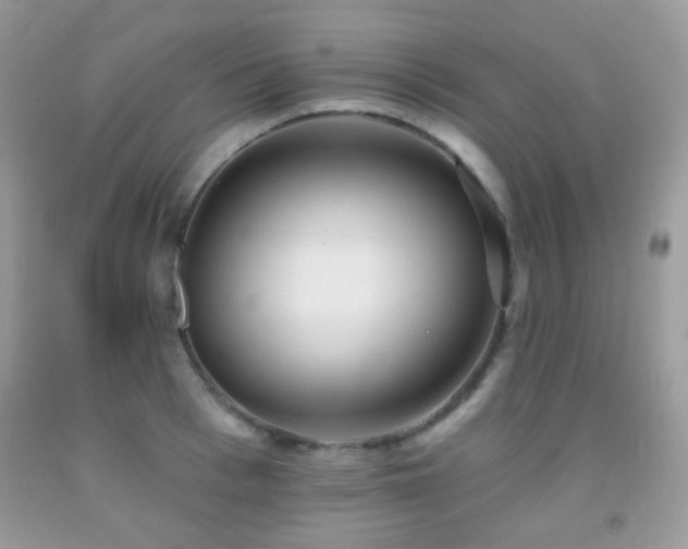 X0000091970993200709061328