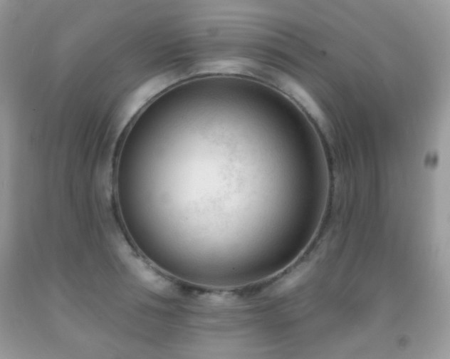X0000091970994200709061328