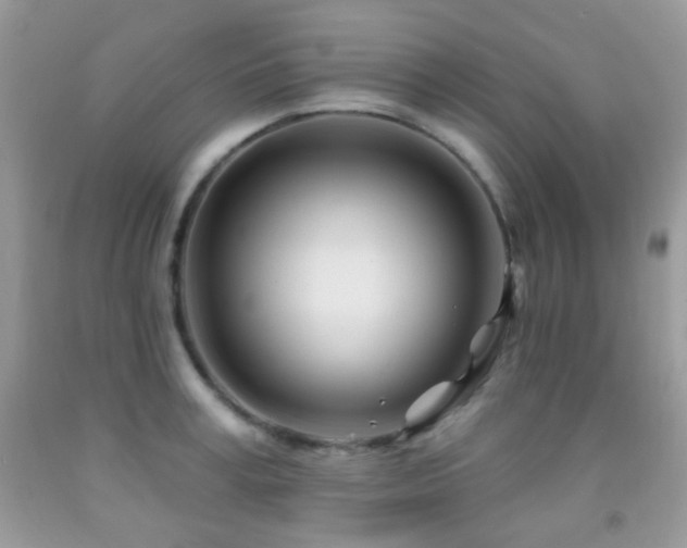 X0000091970995200709061328