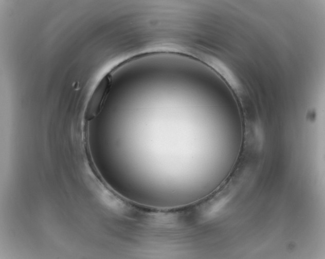 X0000091970996200709061328
