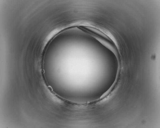 X0000091970997200709061328