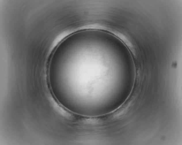 X0000091970998200709061328
