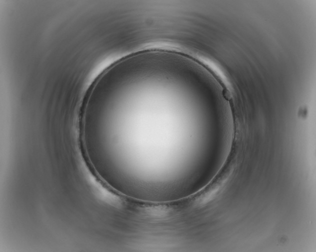 X0000091970999200709061328