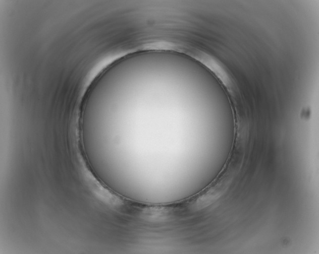 X0000091971000200709061327