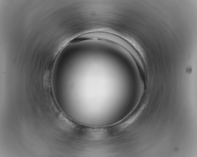 X0000091971001200709061327