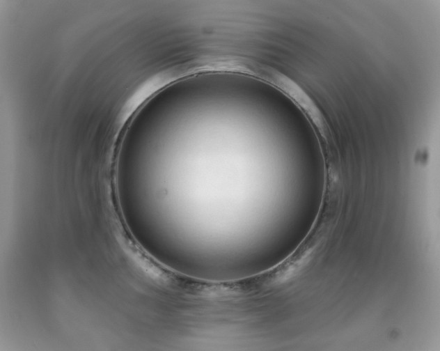 X0000091971002200709061327