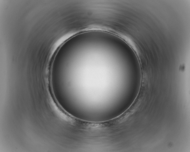 X0000091971003200709061327