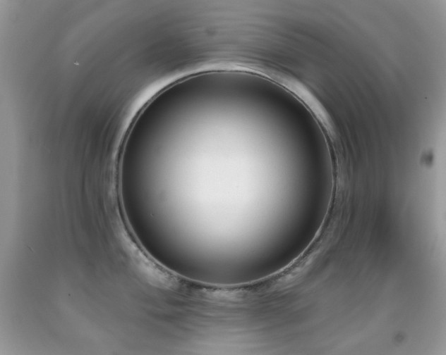 X0000091971004200709061327