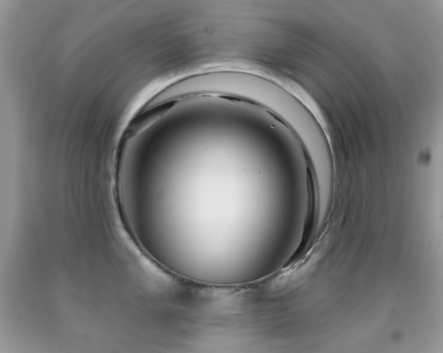 X0000091971005200709061327
