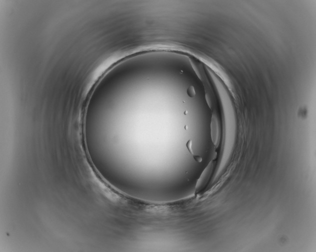 X0000091971006200709061327