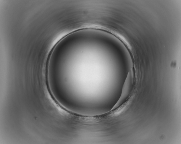 X0000091971007200709061327