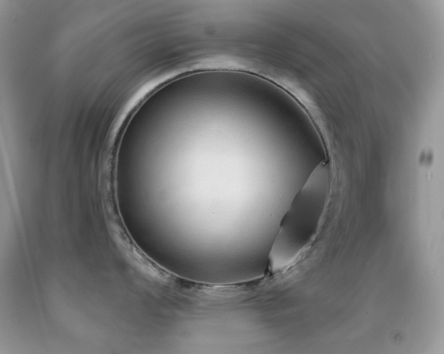 X0000091971008200709061327