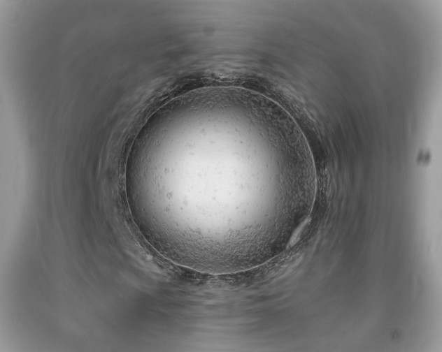 X0000091971009200709061327