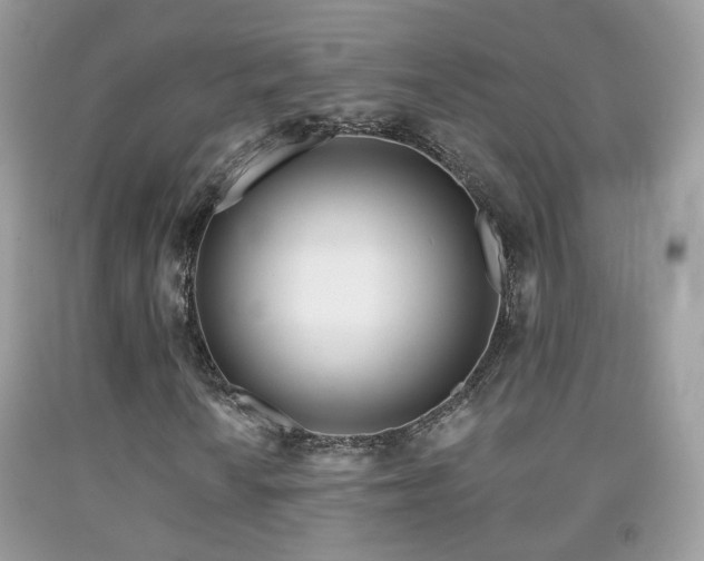 X0000091971010200709061327