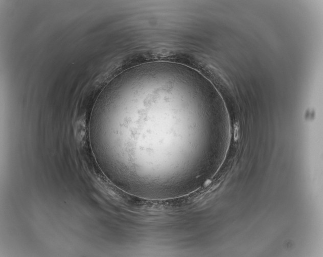 X0000091971011200709061327