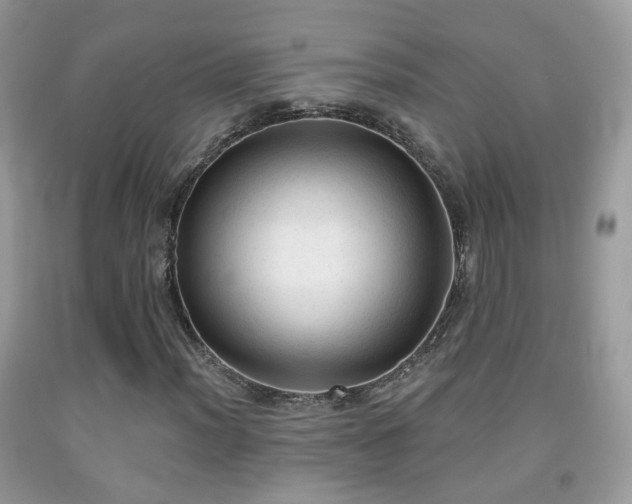 X0000091971012200709061327