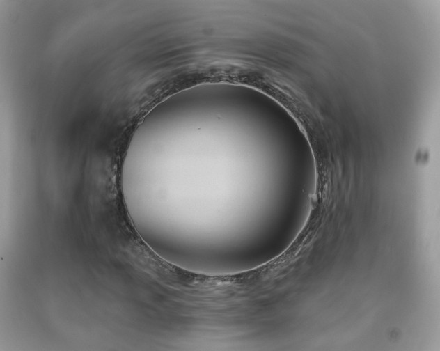 X0000091971013200709061327
