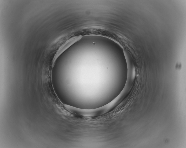 X0000091971014200709061327