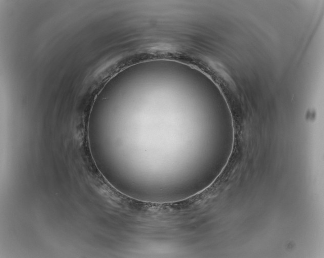 X0000091971015200709061327