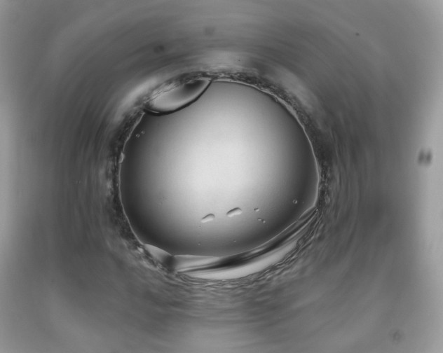 X0000091971016200709061327