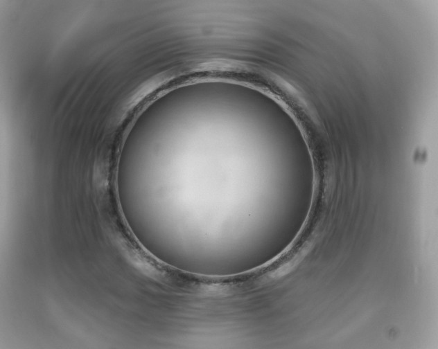 X0000091971017200709061327