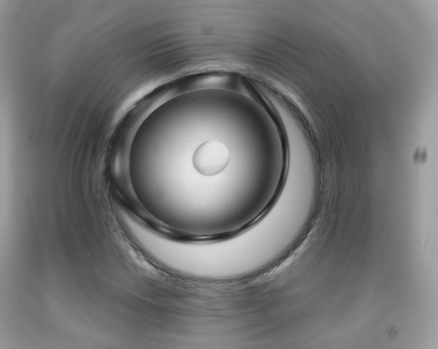 X0000091971018200709061327