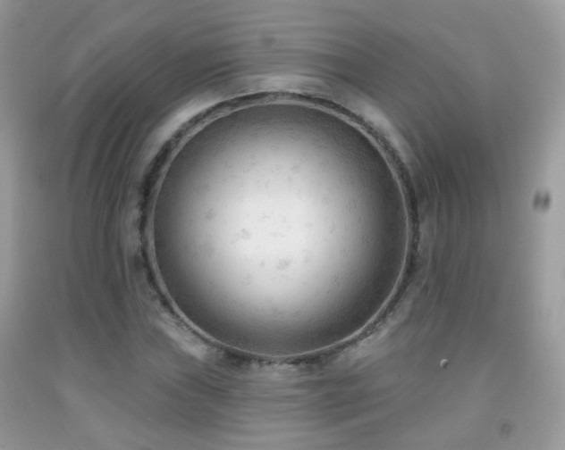 X0000091971019200709061327