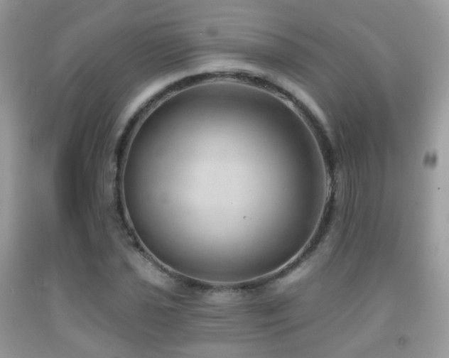 X0000091971021200709061327