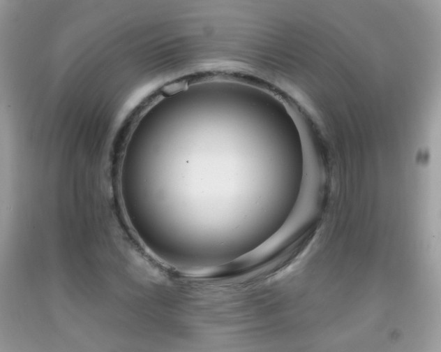 X0000091971022200709061327