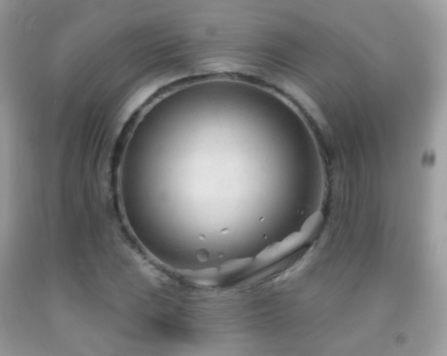 X0000091971023200709061327