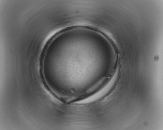 X0000091971024200709061327