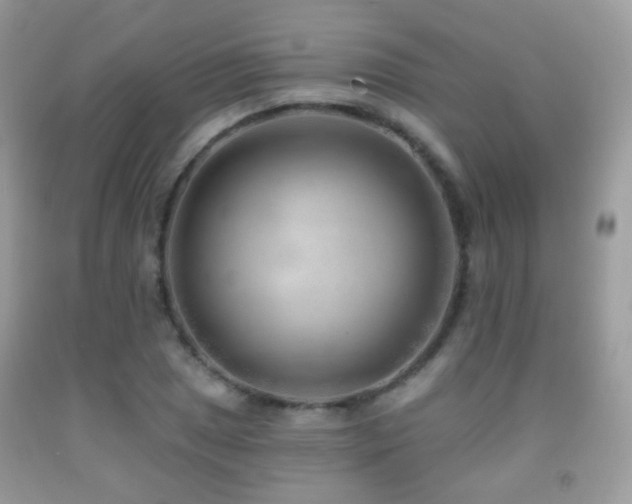X0000091971025200709061327