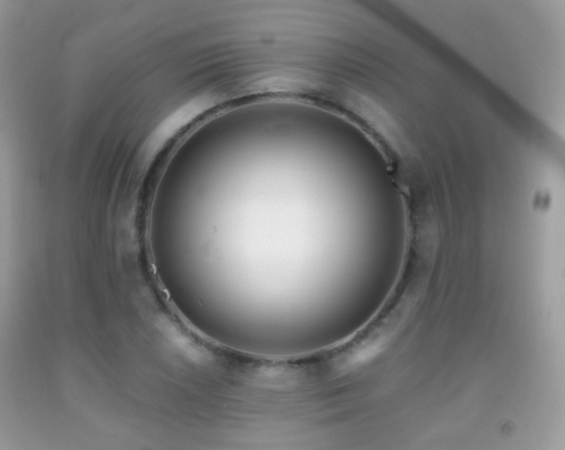 X0000091971026200709061327