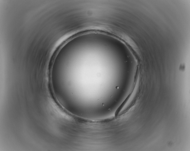 X0000091971028200709061327
